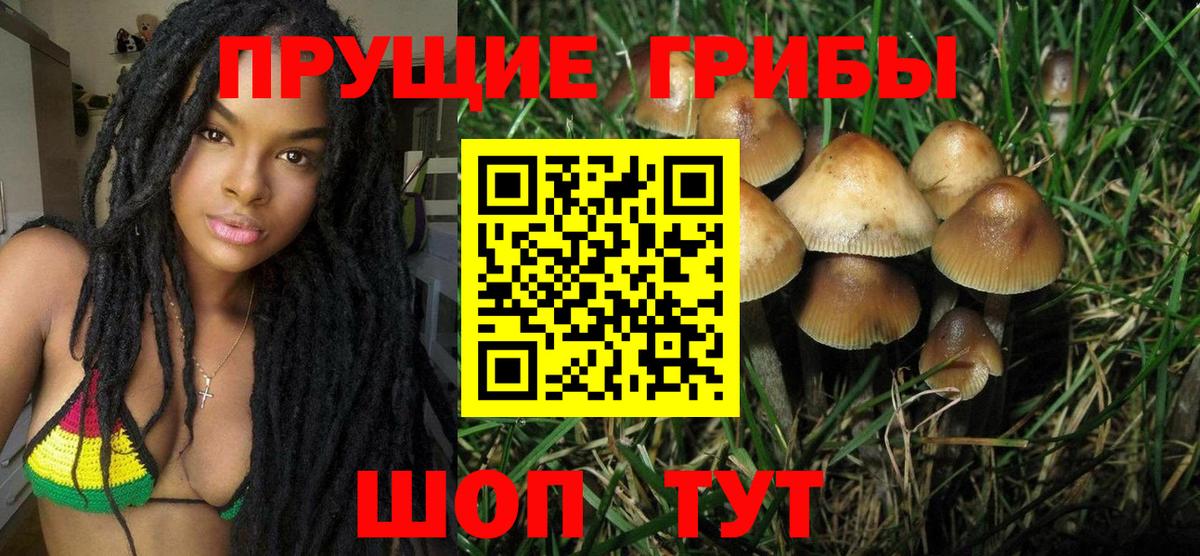 Галлюциногенные грибы Psilocybe  Вход с VPN  Псилоцибиновые грибы прущие грибы  Мурино 