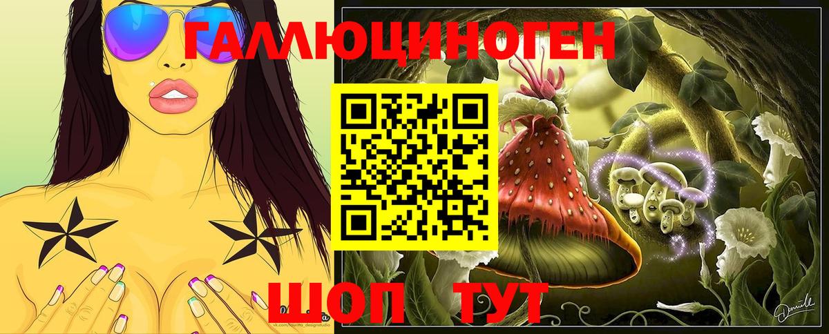 Галлюциногенные грибы Psilocybine cubensis Мурино